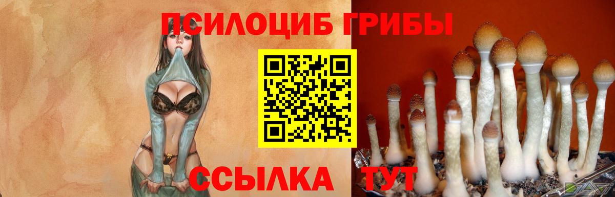 Кашира  Галлюциногенные грибы MAGIC MUSHROOMS  Псилоцибиновые грибы мухоморы  Вход с VPN 